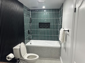 Hair dryer, towels, soap, toilet paper
