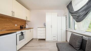 Fridge, oven, stovetop, dishwasher