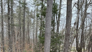 A wooden deck with a bench overlooking a forested area and a stream. - Cozy Woodland Cabin Living with Loft and Brookside Views (Boscawen)