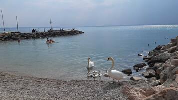 In Strandnähe