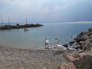 In Strandnähe