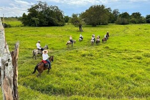 Un grupo de personas montando a caballo en un campo de hierba, con árboles al fondo.