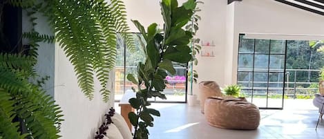 A modern interior with a wooden bench, large windows, and indoor plants.