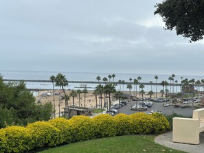 Property grounds - 
Flower Streets Gem (Newport Beach)