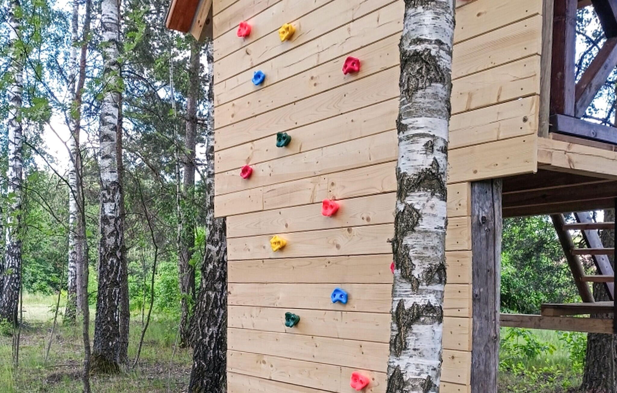 Een houten klimmuur met kleurrijke grepen, omringd door bomen.