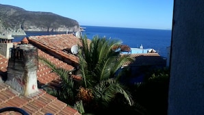 A coastal view with terracotta rooftops, satellite dishes, and a clear blue sky. - Cibo 17 - Two-room apartment with sea view (Capraia Isola)