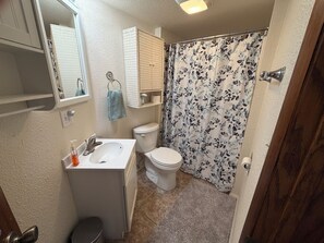 Bathroom - Cozy 1-bedroom cottage in charming Monticello (Monticello)
