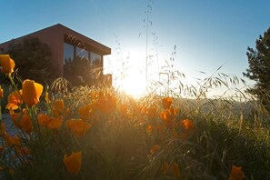 Property grounds - Raizes e Particulas - Douro Lake, Pool & Tennis (Santa Leocádia)