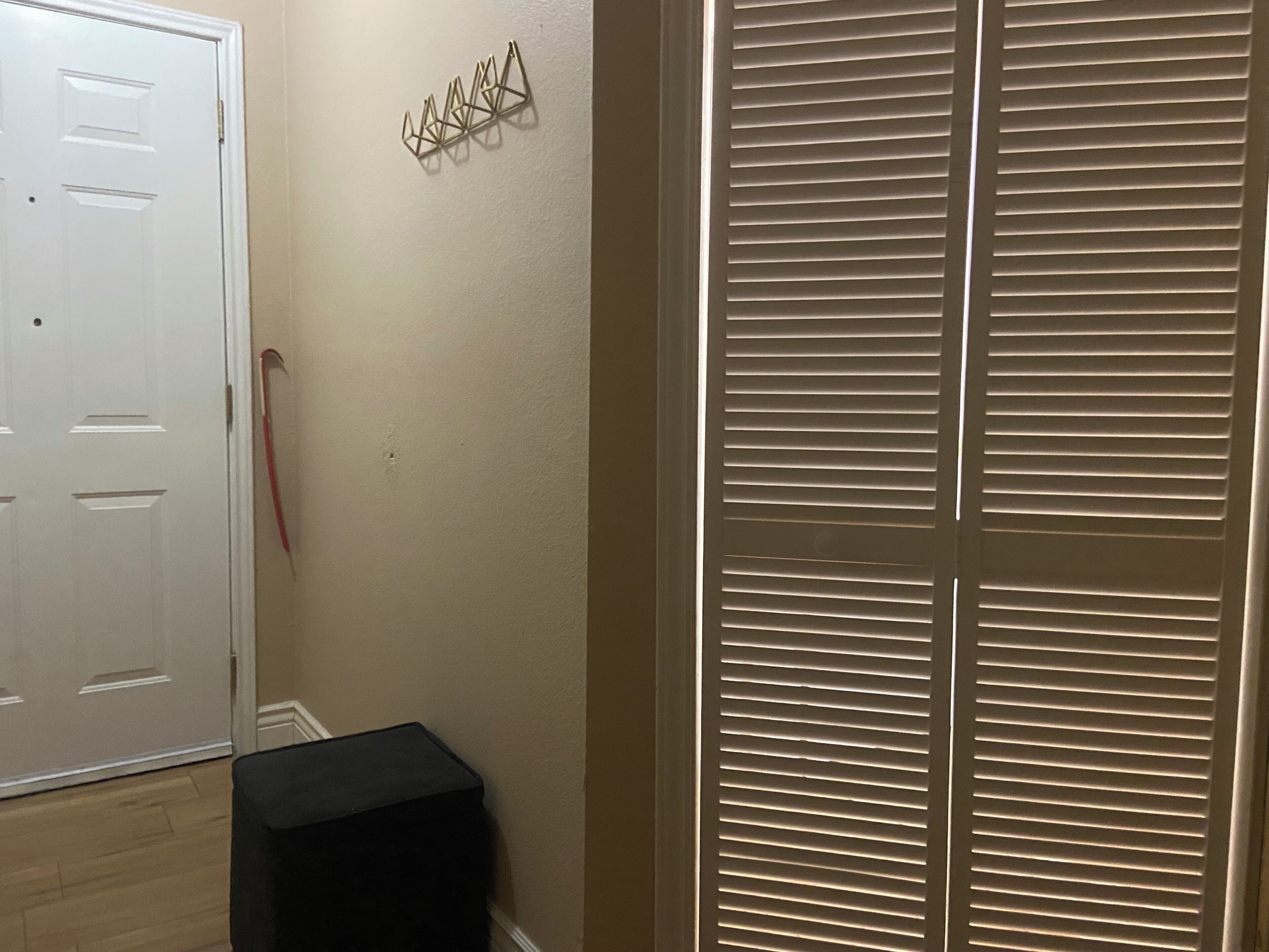 Ein Flur mit einer weißen Tür, einem schwarzen Gegenstand auf dem Boden und einem an der Wand befestigten Zierteil.