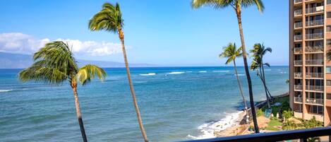 A beachfront view with palm trees, ocean waves, and a building with balconies.