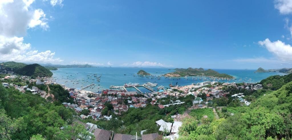 A coastal town with a marina, lush greenery, and a clear blue sky.