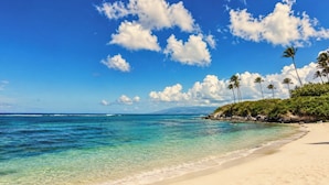 Ein Strand mit klarem türkisblauem Wasser, einem Sandufer und Palmen.