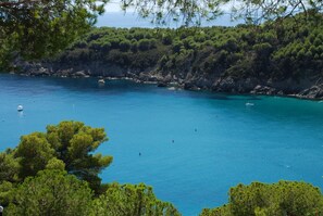 Un paysage côtier caractérisé par une eau turquoise et limpide, des falaises rocheuses et une végétation luxuriante.
