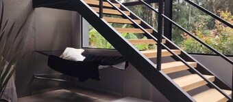 apartasuite con vista al bosque
