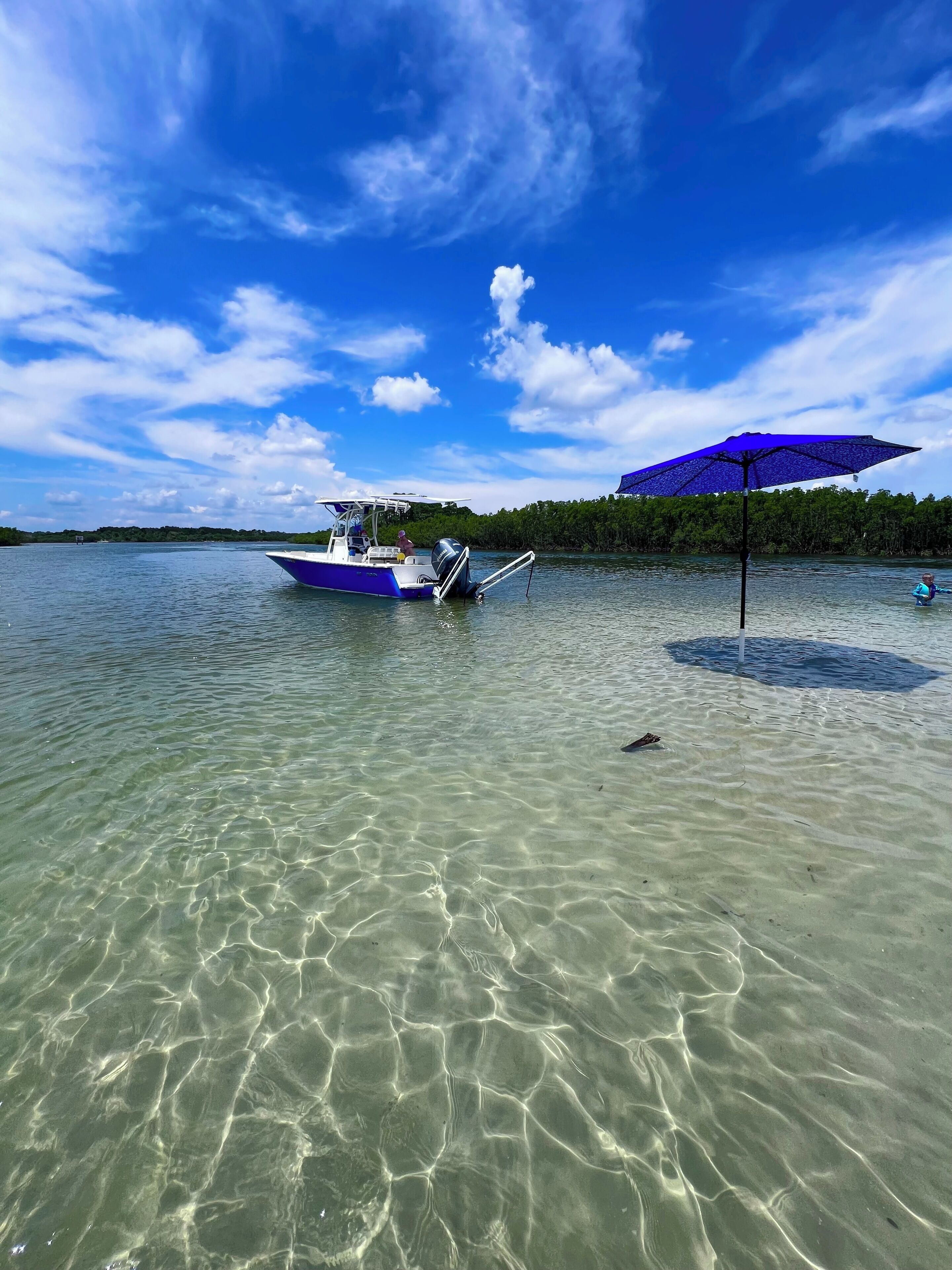 A boat anchored near a beach with a clear sky and a forested area in the background.