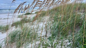 A beach with sand dunes and tall grasses. - SEPTEMBER SPECIAL!! Tropical Riverside Oasis with Private Pool •  (Edgewater)
