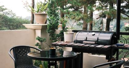 Blueridge Mountain Cabin