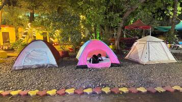 ๋ฒ ์ด์ง ํ
ํธ | ์๋ฐ ์์ค ๊ตฌ๋ด