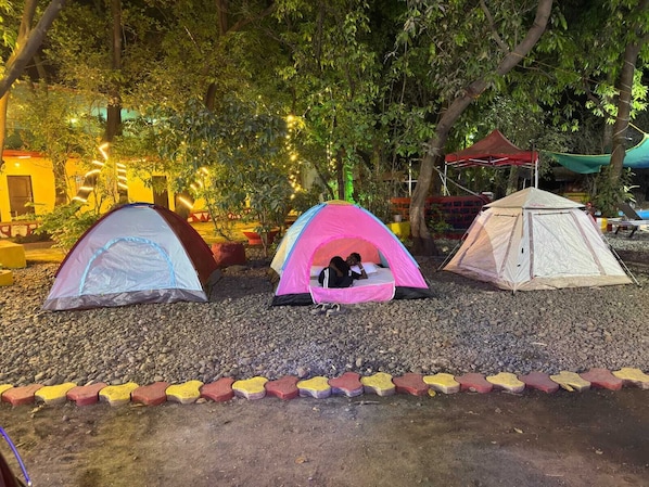 Basic Tent | Property grounds