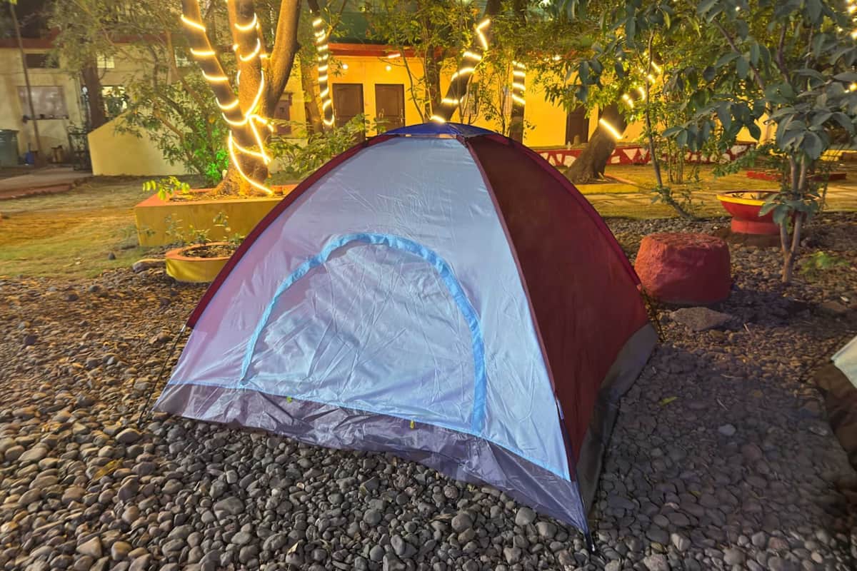 Basic Tent