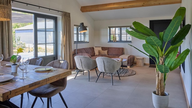 A spacious living area with a wooden ceiling, a dining table with chairs, a sofa, and a large potted plant.