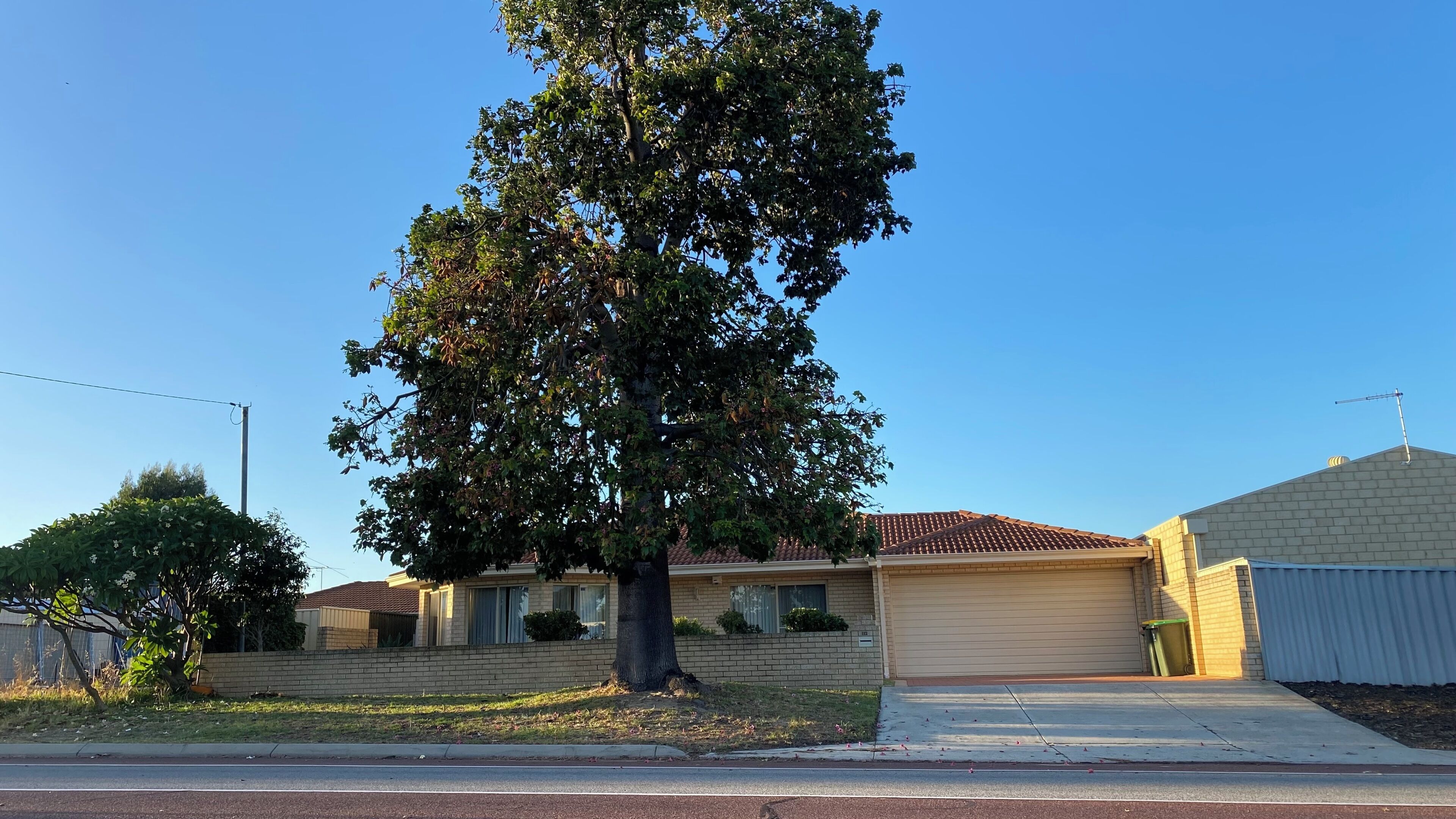 A residential house with a garage, a large tree in front, and a clear blue sky.