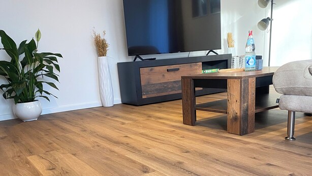 A living room with a wooden floor, a TV on a black stand, a wooden coffee table, a potted plant, and a chair. - Family-friendly with garden & private parking lot Suitable for fitters & groups (Oldenburg (Oldb))
