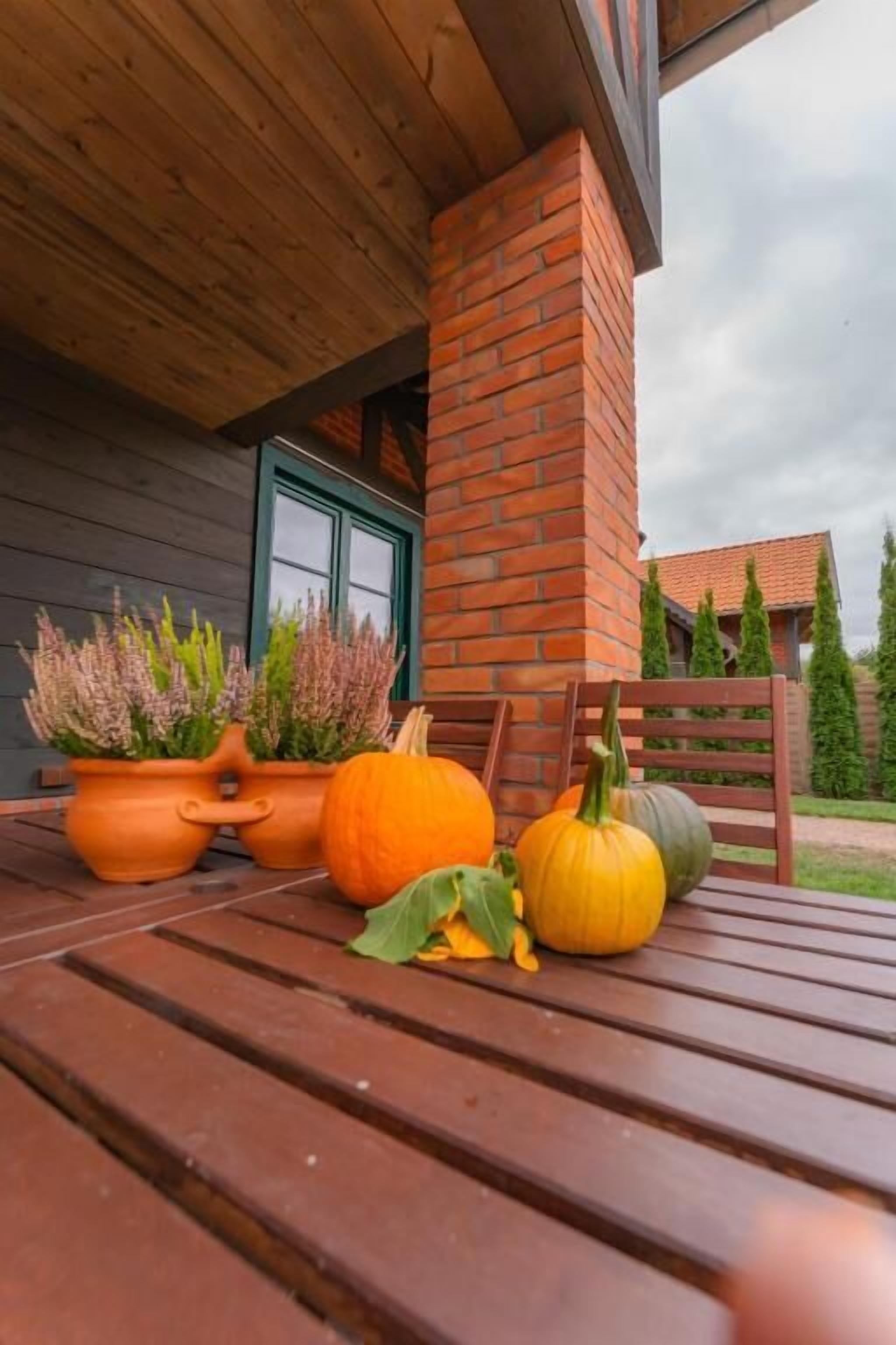 A wooden deck with a brick pillar, potted plants, and pumpkins.