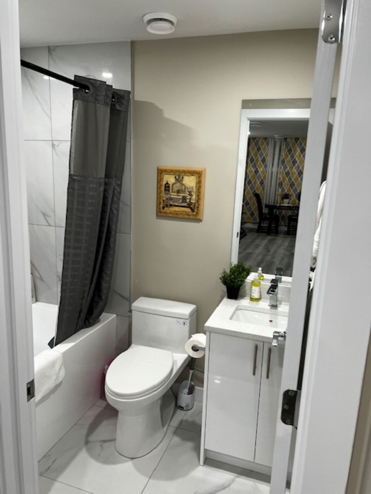 Hair dryer, towels, toilet paper