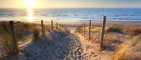 Classic Apartment, 2 Bedrooms | View from property