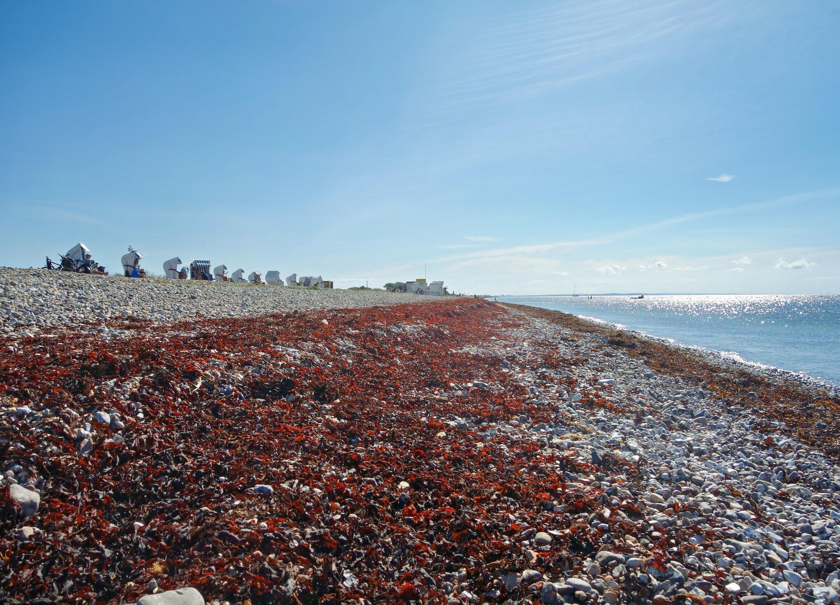 Ein felsiger Strand mit blauem Himmel.