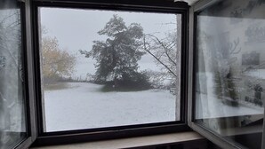 Una ventana con vistas a un paisaje nevado, árboles y una valla.