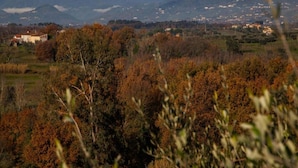 A mountainous landscape with autumn foliage and distant snow-capped peaks. - Lucca Central Garden Cottage (Lucca)