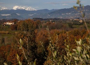 View from property - Lucca Central Garden Cottage (Lucca)