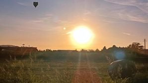 A sunset over a grassy field with a large sun in the center and a few balloons in the sky. - Lucca Central Garden Cottage (Lucca)