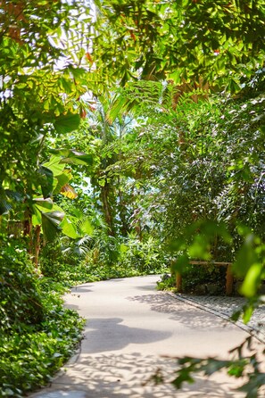 Property grounds - Mobile Home im Tropical Islands Resort (Halbe)