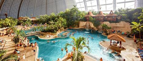 Une piscine intérieure dotée de plusieurs couloirs, entourée de palmiers et de plantes tropicales.