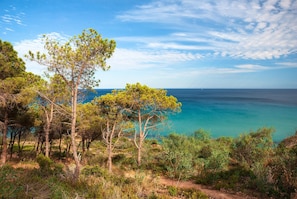 A coastal landscape with pine trees and a clear view of the sea. - Apartments in Pula With Shared Saltwater Pool (Pula)