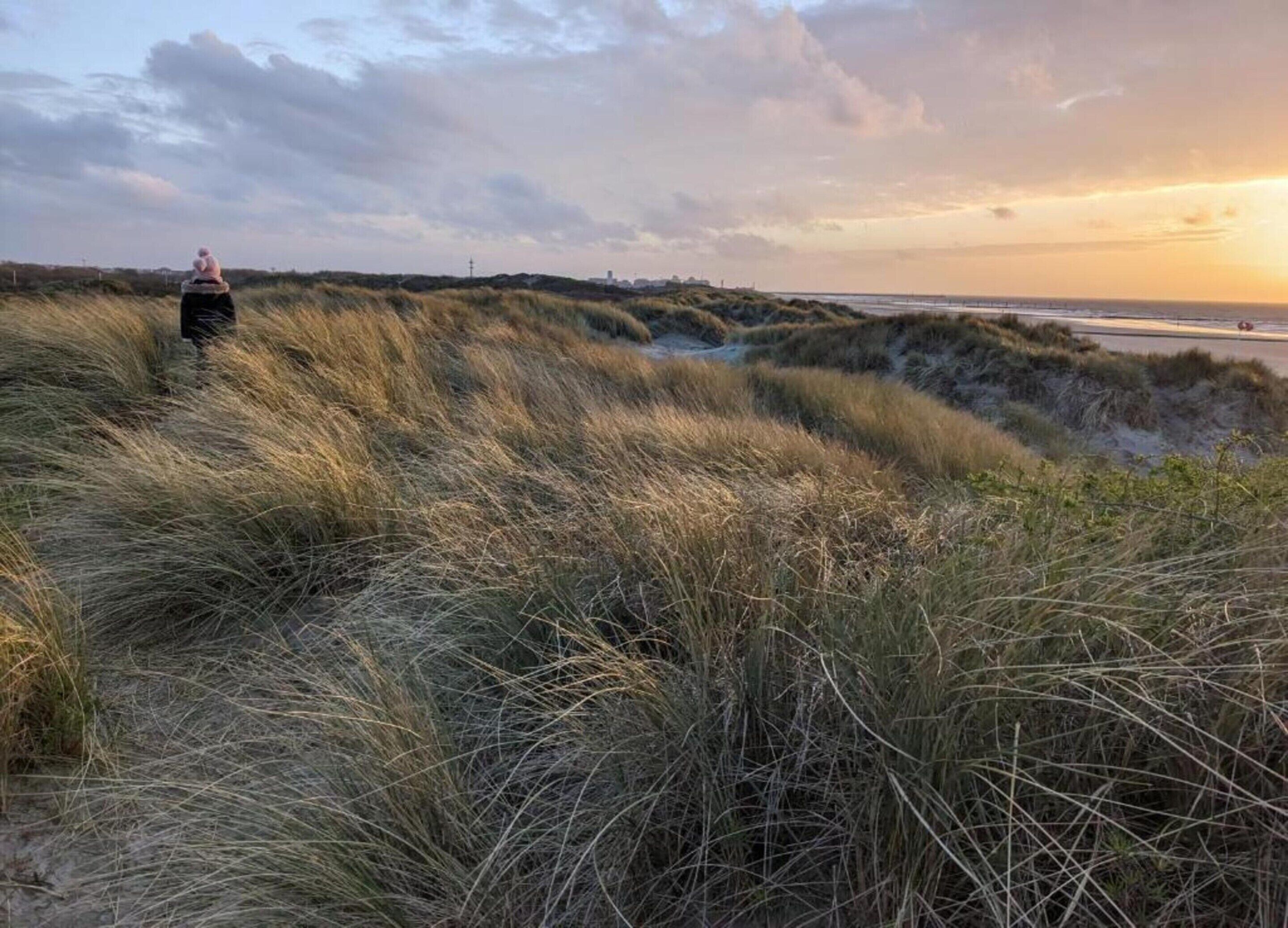 A natural landscape with dunes and a distant view of the sea.