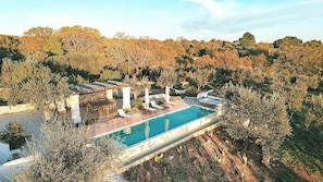 Pool - Villa Petraluce: A spacious three-story villa surrounded by olive groves, with Free WI-FI. (Ostuni)