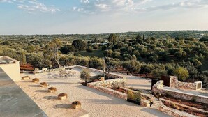 Una terraza en la azotea con muros de piedra, plantas en macetas y vistas a un paisaje rural.