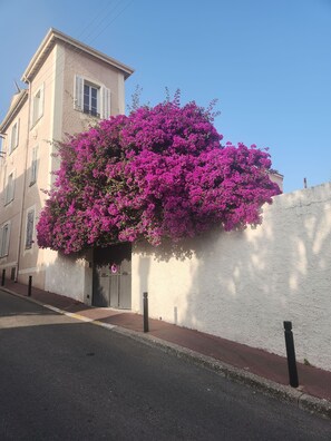Exterior - Charming 100m² in the heart of the old town/ 10min Croisette & Beach. Air-conditioned (Cannes)