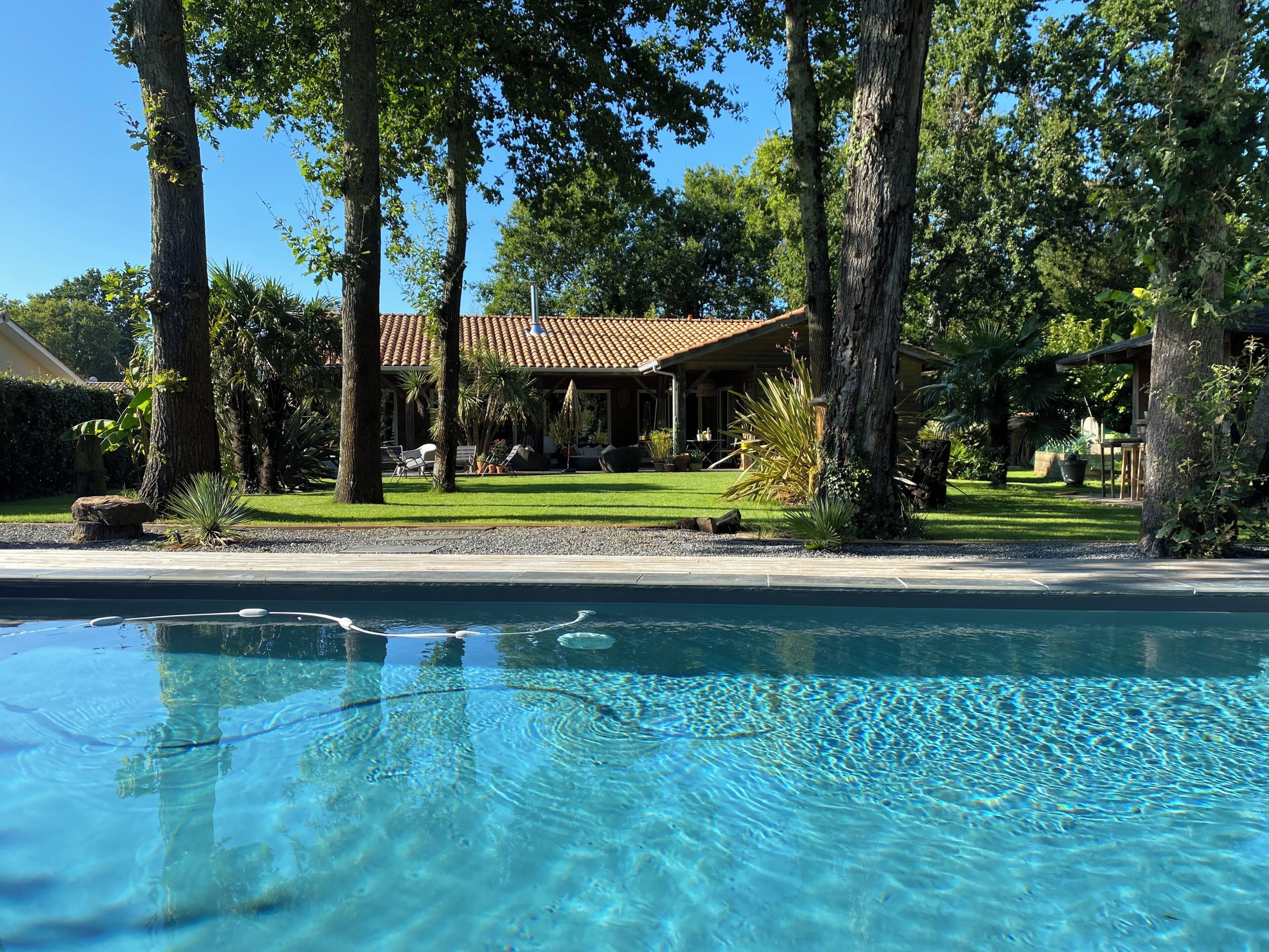 Piscina límpida com uma casa ao fundo, rodeada por árvores.