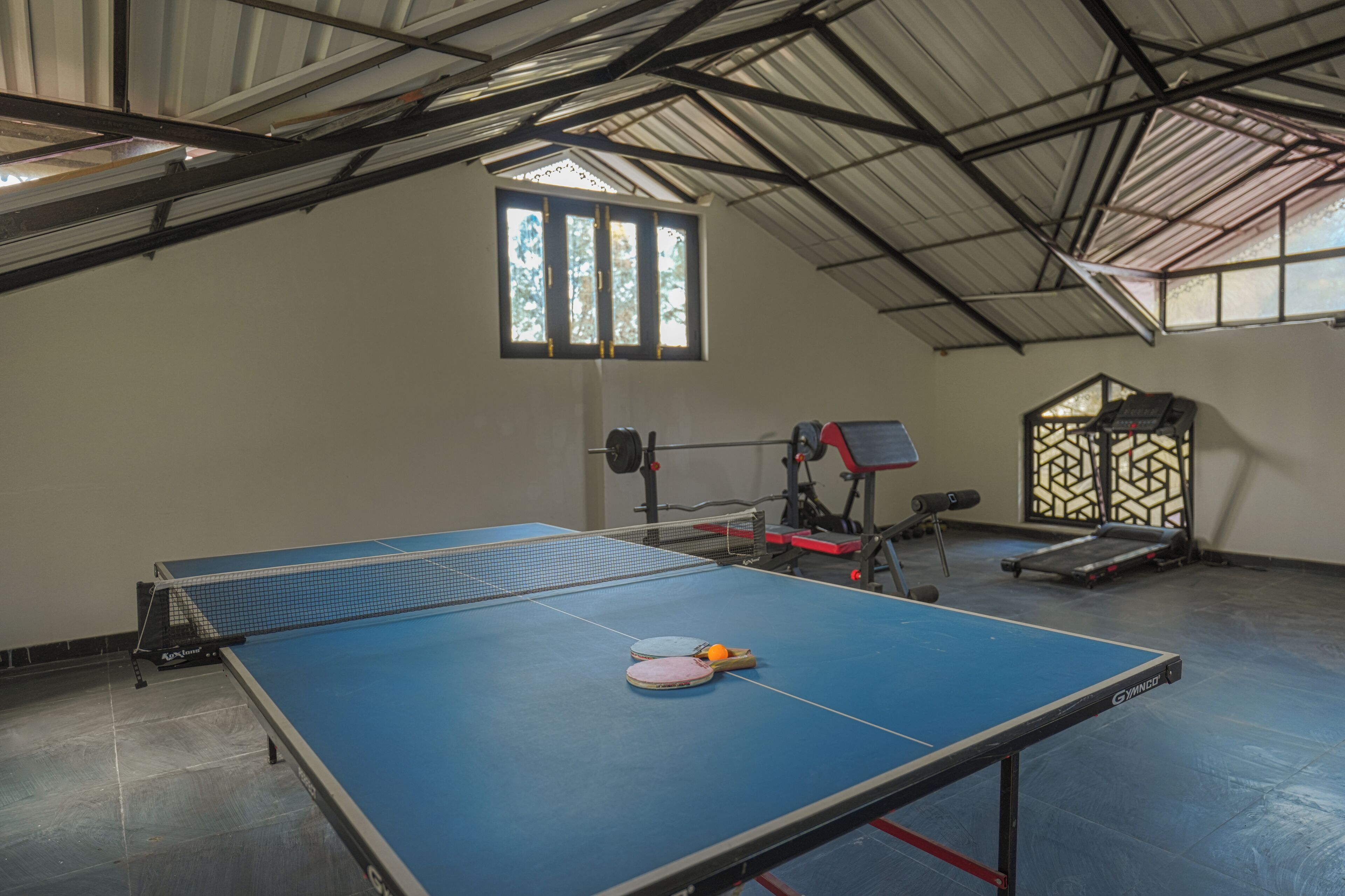 Una mesa de ping pong con dos paletas y una pelota, una cinta de correr y una ventana con vistas a árboles.