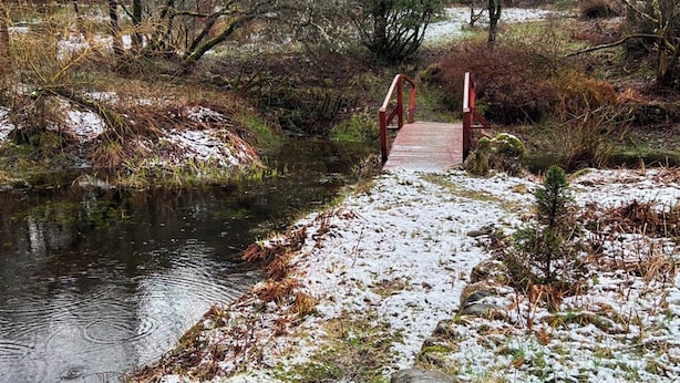 Un pont en bois enjambant un ruisseau enneigé, dans une zone boisée.
