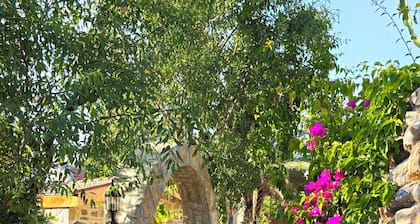 Feli Eski Datca Adult Only +9