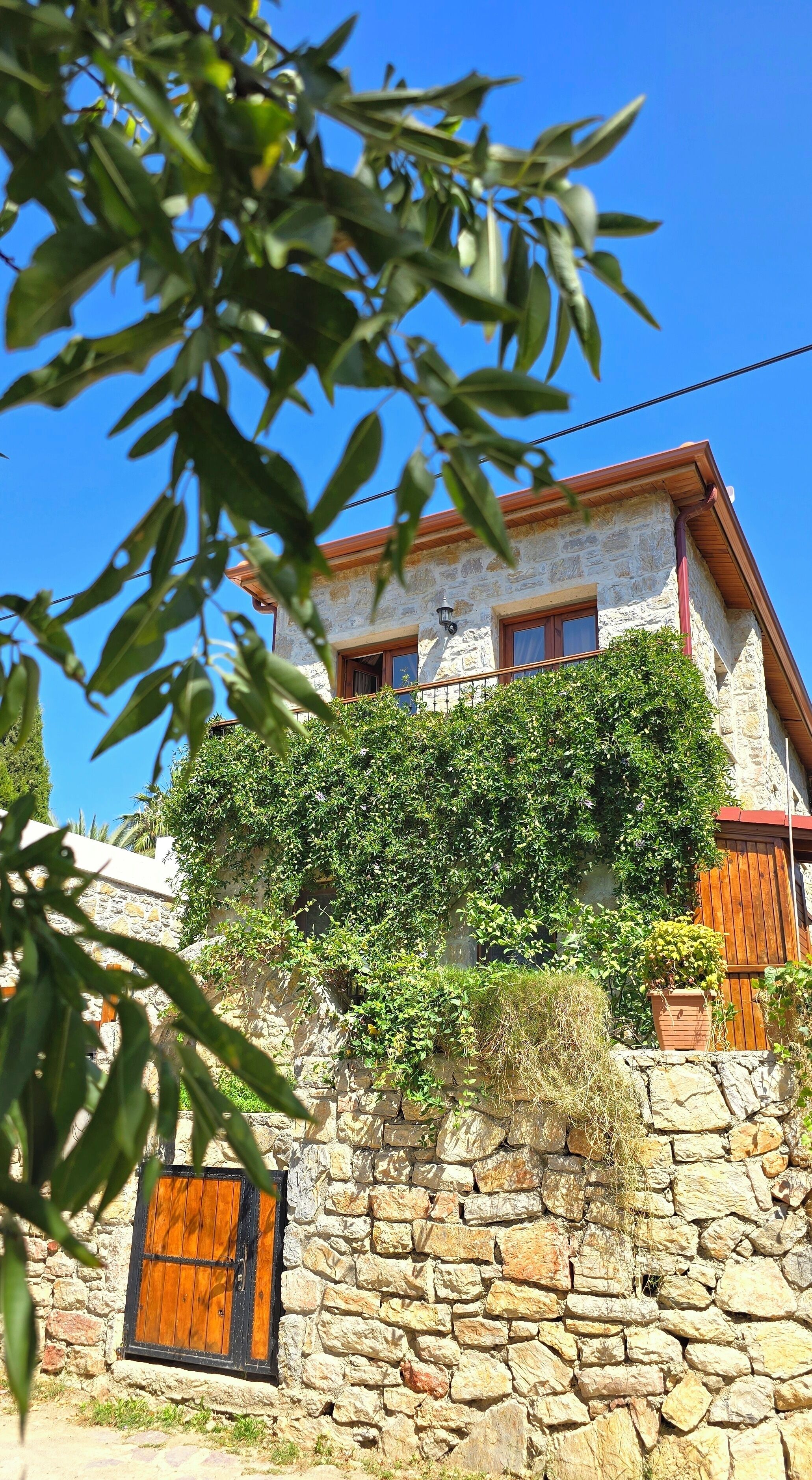 Deluxe-Zimmer, 1 Queen-Bett | Aussenbereich