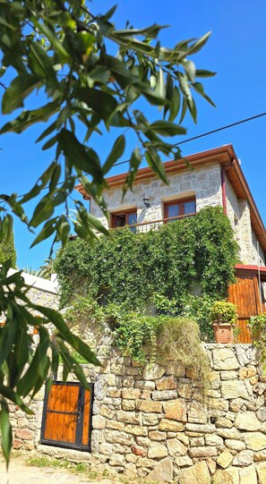 Comfort-Zimmer | Außenbereich