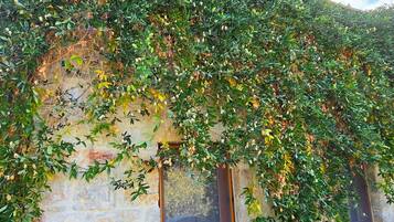 Deluxe-Zimmer, 1 Queen-Bett, Nichtraucher, Gartenblick | Ausblick vom Zimmer