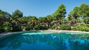 Una piscina cristalina rodeada de exuberante vegetación y árboles.